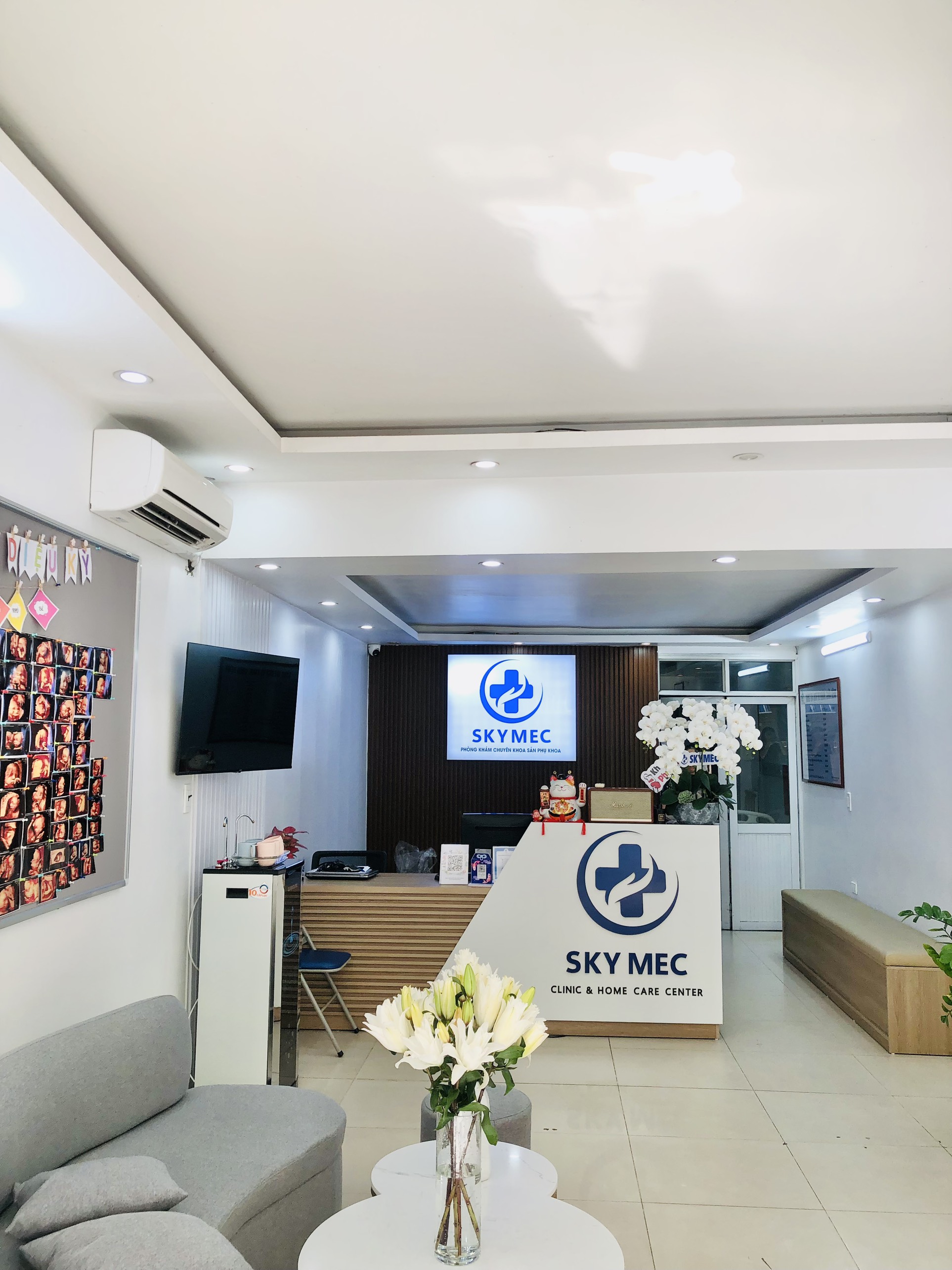 Sinh lý thụ tinh và sự làm tổ của phôi